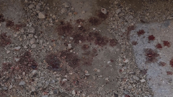 Rissa con coltelli in centro storico. Residenti chiedono più controlli