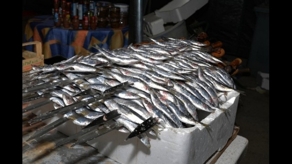 Crisi pesca, in mare almeno il 70% in meno di gamberi e pesce azzurro