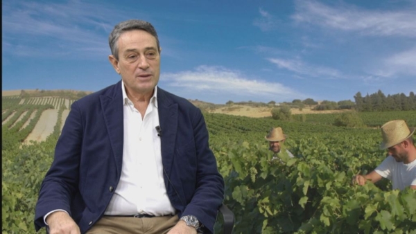 Riconoscimenti. Settesoli premiata in Germania come miglior cooperativa