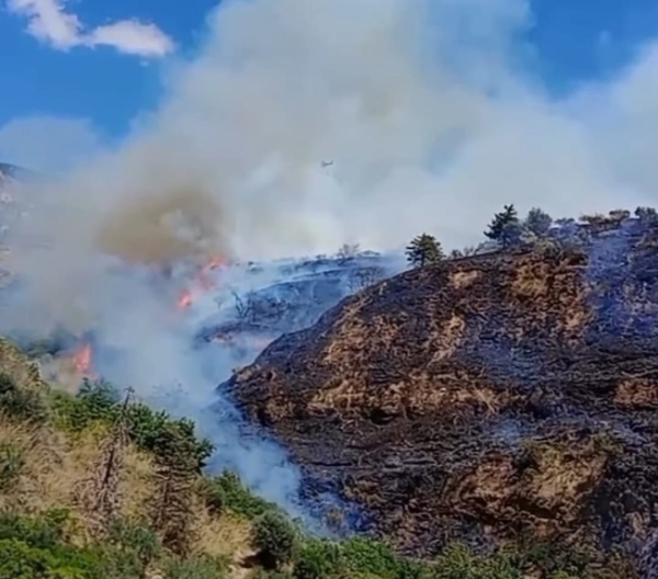 Burgio. Fiamme nel bosco, Canadair in azione
